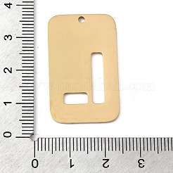 304 Stainless Steel Pendants&nbsp;STAS-D200-01L-G