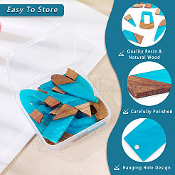 20Pcs 10 Styles Resin & Wood Pendants&nbsp;WOOD-TA0002-67C
