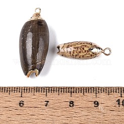 Electroplate Natural Spiral Shell Pendants&nbsp;SSHEL-Q100-48G