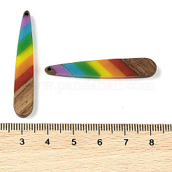 Pride Rainbow Theme Resin & Walnut Wood Pendants&nbsp;WOOD-K012-05A