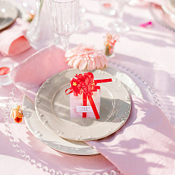 Clear PVC Candy Gift Packaging Boxes with Ribbon & Artificial Flower&nbsp;CON-TAC0001-20C