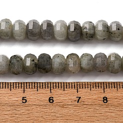 Natural Labradorite Beads Strands&nbsp;G-P587-D13-02