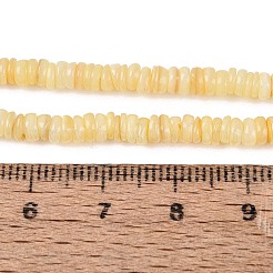 Natural Freshwater Shell Beads Strands&nbsp;SHEL-Q028-01B