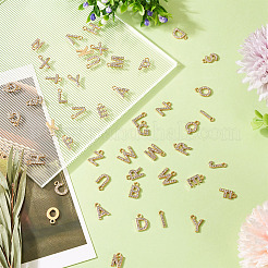 2 Sets Alloy Rhinestone Charms&nbsp;ENAM-TA0008-99LG