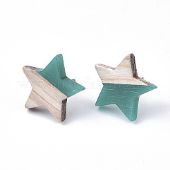 Resin & Wood Stud Earrings&nbsp;EJEW-N017-001A-C02