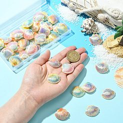 40Pcs 4 Colors Opaque Resin Cabochons&nbsp;CRES-SC0003-11