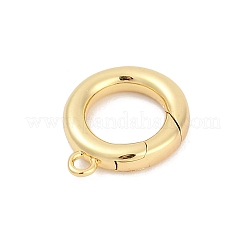 Brass Spring Gate Clasps&nbsp;KK-M311-25G-01
