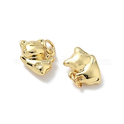 Brass Pendants&nbsp;KK-P325-15G