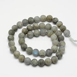 Natural Labradorite Frosted Bead Strands&nbsp;G-O155-04B-8mm
