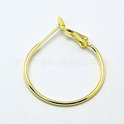 Brass Hoop Earrings&nbsp;X-EC259-G