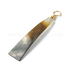 Natural Black Lip Shell Pendants&nbsp;PALLOY-JF03334