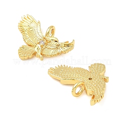 Brass Pendants&nbsp;KK-I355-12G