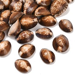 Natural Shell Oval Beads&nbsp;BSHE-O007-44