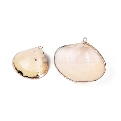 Electroplate Natural Sea Shell Pendants&nbsp;SSHEL-Q100-16KCG