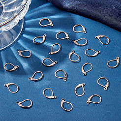 50Pcs 304 Stainless Steel Leverback Earring Findings&nbsp;STAS-BBC0001-44RG