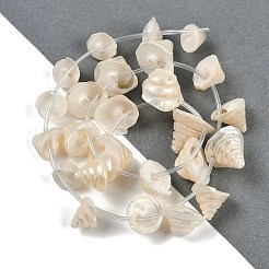 Natural Shell Beads Strands&nbsp;SHEL-K009-11