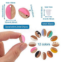 12Pairs 12 Colors Opaque Resin & Walnut Wood Stud Earring Findings&nbsp;MAK-CD0001-05