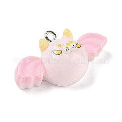 Halloween Theme Resin Pendants&nbsp;LS-RESI-Z040-04P-05