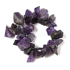 Natural Amethyst Beads Strands&nbsp;G-Q023-G01-01