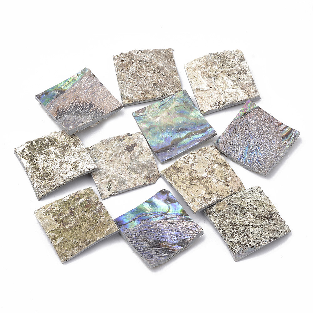 Wholesale Abalone Shell/Paua Shell Beads - Pandahall.com