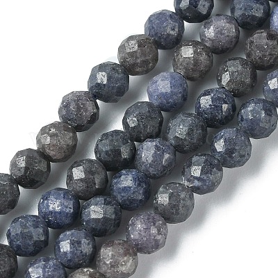 Natural Sapphire Beads Strands&nbsp;G-F748-M01-04-1
