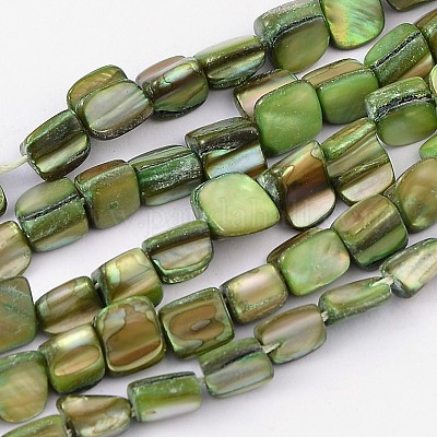 Erose Shell Beads Strands&nbsp;PBB068Y-1