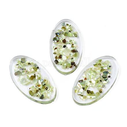 Transparent Acrylic Cabochons TACR-N006-66B-1