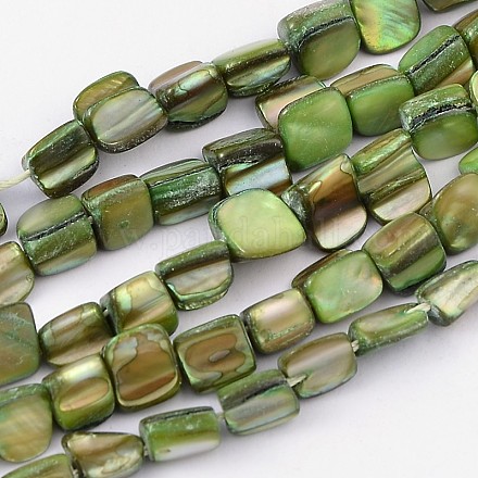 Erose Shell Beads Strands PBB068Y-1