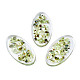 Transparent Acrylic Cabochons&nbsp;TACR-N006-66B-1