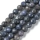 Natural Sapphire Beads Strands&nbsp;G-F748-M01-04-1