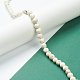 Nrtutal Magnesite Beads Strands&nbsp;G-L575-01C-4