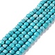 Natural Howlite Beads Strands&nbsp;G-G001-B01-01-1