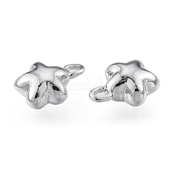 Brass Charms&nbsp;KK-N216-563P