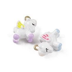Alloy Enamel Pendants&nbsp;FIND-G115-03