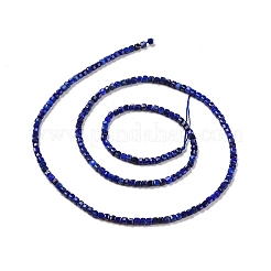 Natural Lapis Lazuli Beads Strands&nbsp;G-C009-B08