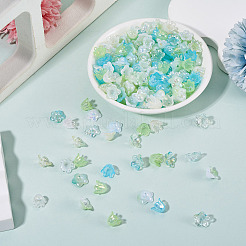 Acrylic Bead Caps&nbsp;OACR-TA0014-45B