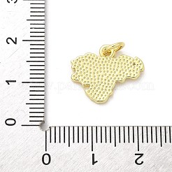 Brass Pendants&nbsp;KK-S511-25G