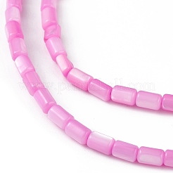 Natural Freshwater Shell Dyed Beads Strands&nbsp;SHEL-M018-12-10