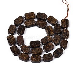 Natural Bronzite Beads Strands&nbsp;G-T138-26A-06