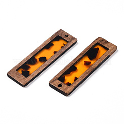 Transparent Resin & Wood Pendants&nbsp;WOOD-TADZ0001-03-01