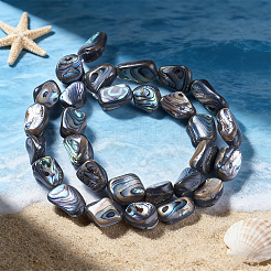 1 Strand Natural Abalone Shell/Paua Shell Beads Strands&nbsp;SSHEL-PA0001-03