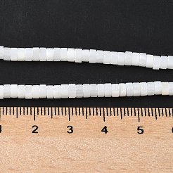 Natural Freshwater Shell Beads Strands&nbsp;SSHEL-C013-04B