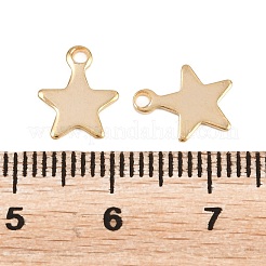 201 Stainless Steel Charms&nbsp;STAS-F039-04A-G
