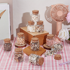 10Pcs Natural Sea Shell Conch Bead & Transparent Glass Bottle Display Decorations&nbsp;AJEW-AB00075