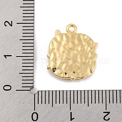 Alloy Pendants&nbsp;FIND-U007-11G