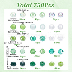 750Pcs 15 Styles Saint Patrick's Day DIY Beads Kits&nbsp;DIY-SP0006-64B