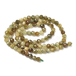 Natural Green Garnet Beads Strands&nbsp;G-Z161-A03-4mm