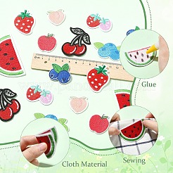 16Pcs 8 Styles Fruits Theme Computerized Embroidery Cloth Iron on Sew on Patches&nbsp;DIY-YW0018-24