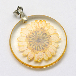 Alloy Resin Pendants&nbsp;LS-RESI-S321-06
