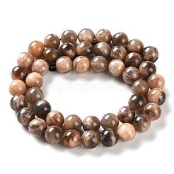 Natural Black Sunstone Beads Strands&nbsp;G-U009-A01-03